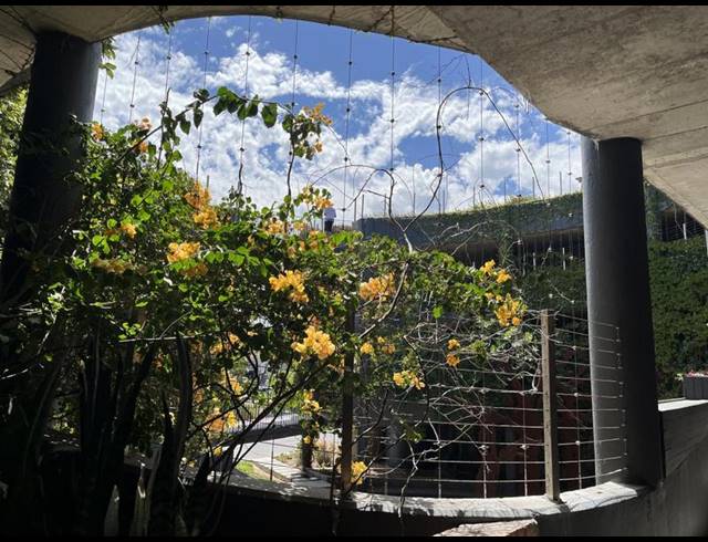 BUSINESS PROPERTY TO RENT IN NORTHGATE ISLAND